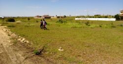 Hot Plots for Sale Kitengela