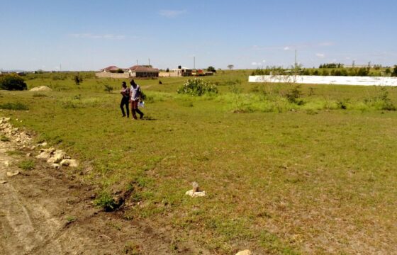 Prime Property for Sale Syokimau