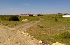 Hot Plots for Sale Kitengela