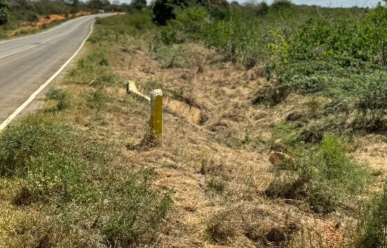 Malindi Plots Along Malindi Tsavo Highway