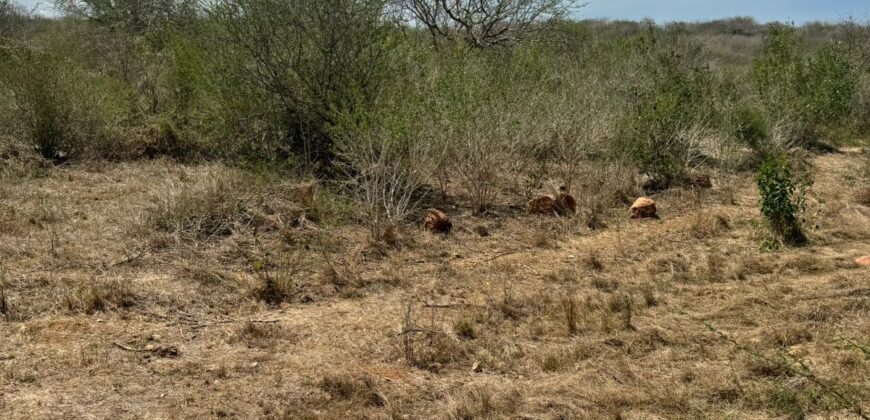 Malindi Plots Along Malindi Tsavo Highway